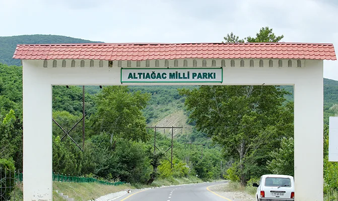 Milli Parkın direktoruna və müavininə cinayət işi açıldı