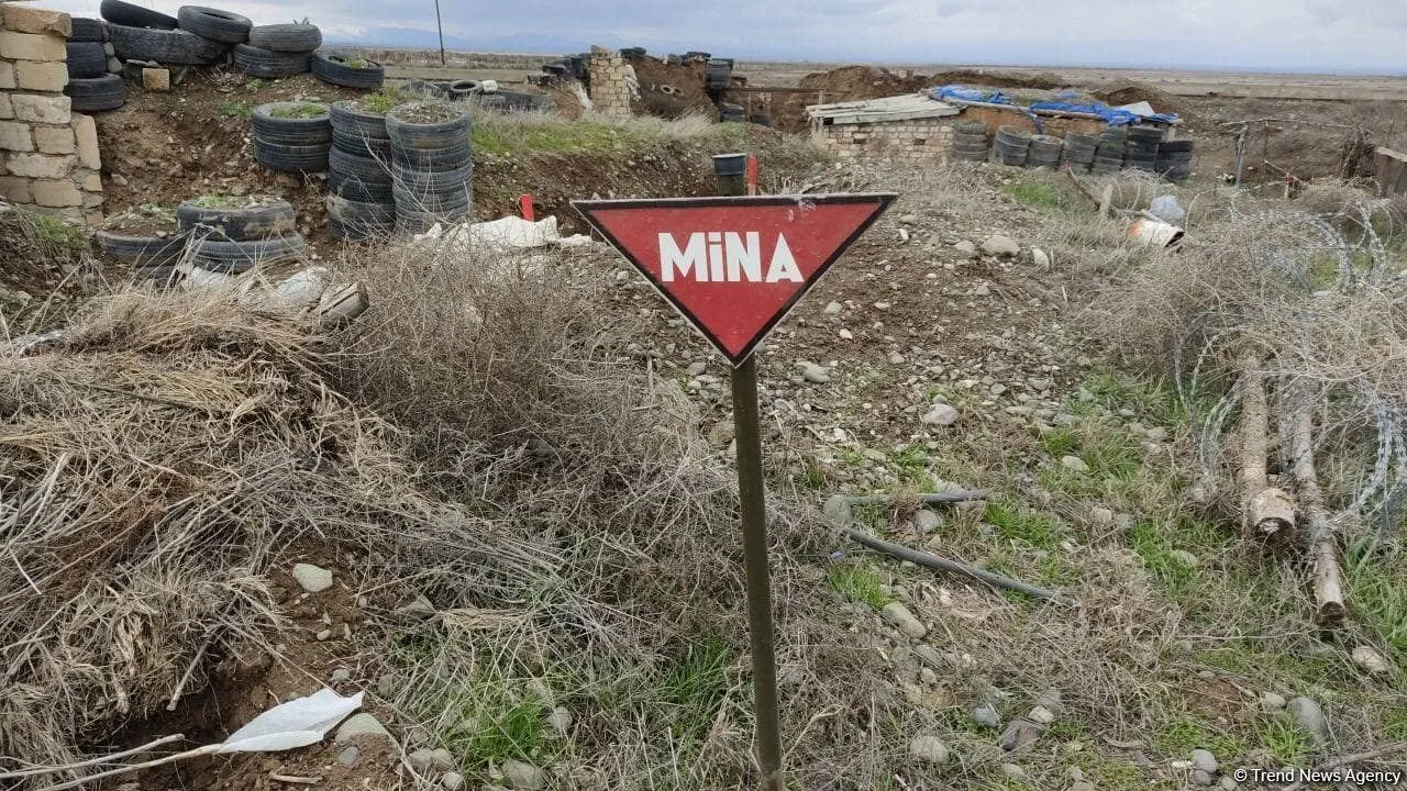 Agentlik: 1731 hektar ərazi minalardan tam olaraq təmizlənib