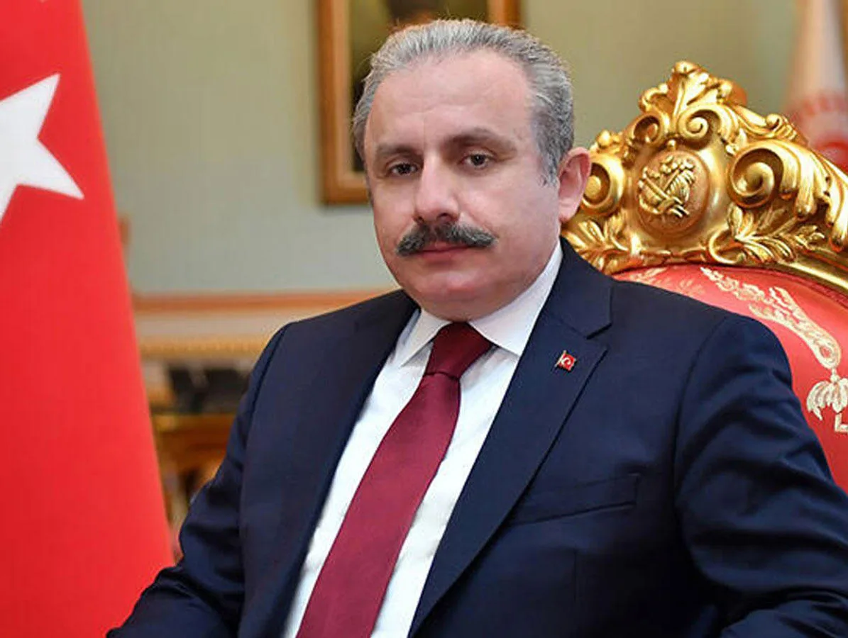 "Ermənistan region üçün təhdiddir" - Mustafa Şentop