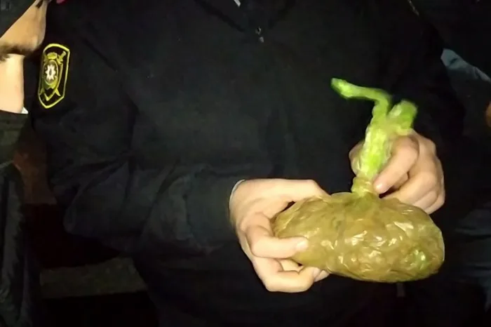 Narkotacirdən 19,6 kq heroin götürüldü