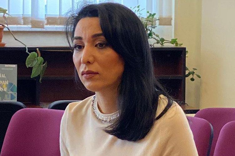 Ombudsman beynəlxalq təşkilatlara müraciət edib