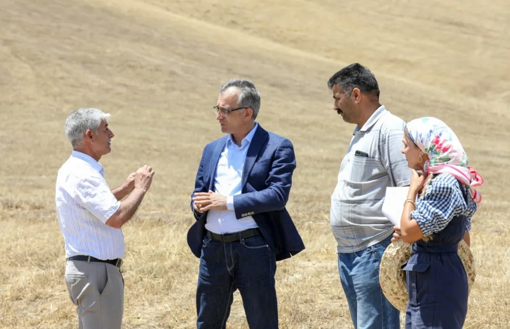Dağlıq və dağətəyi ərazilərdə taxıl biçini prosesinə 20 ədəd dağ kombaynı cəlb edilib