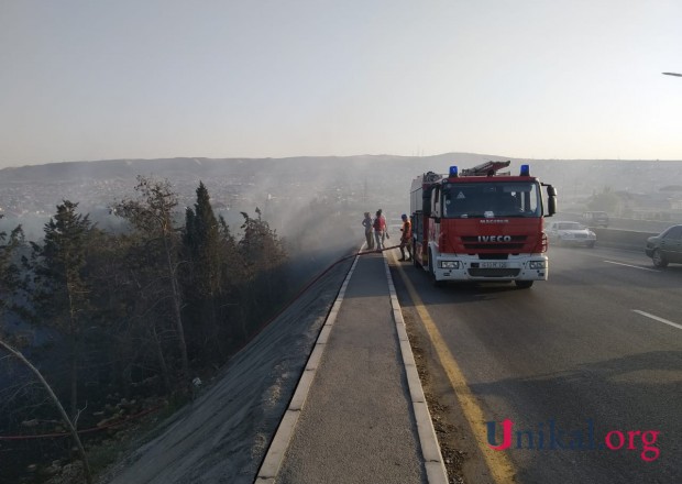 Bakıda ağaclıq ərazidə yanğın söndürüldü