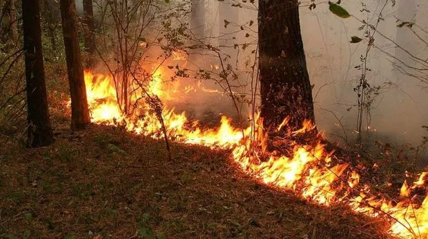 Ermənilər Azərbaycan sərhədində yanğın törədib