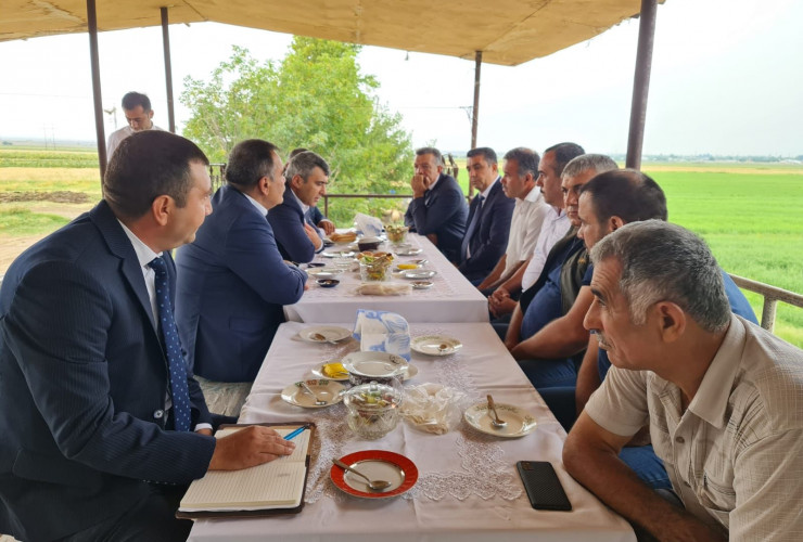 Nazir Samuxda günəbaxan əkən fermerlərlə görüş keçirib