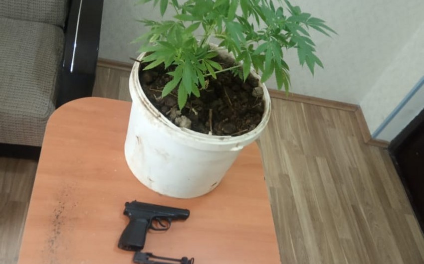 Şabran sakinindən silah və narkotik vasitə tapılıb