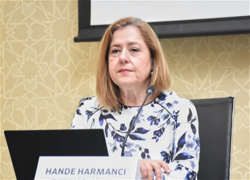 “Rəqəmlərin artacağını gözləyirdik” - Hande Harmancı