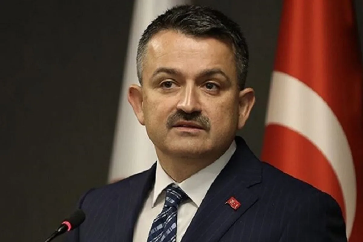 Nazir: "Türkiyədə böyük yanğınlar söndürülüb"
