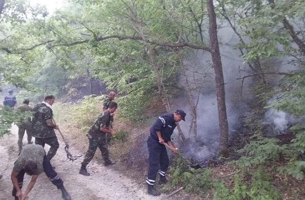 Qəbələdə meşə yanğınları davam edir
