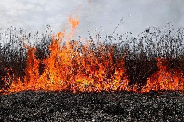 Ağsuda dağlıq ərazidə yanğın başlayıb