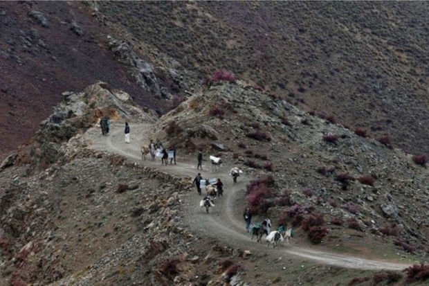 “Taliban”a qarşı müqavimət hərəkatının lideri: “Tərəflər hərbi toqquşmaya hazırlaşır”