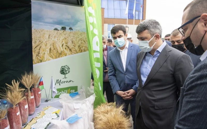 Saatlıda toxum sərgi-satış yarmarkası keçirildi - FOTO
