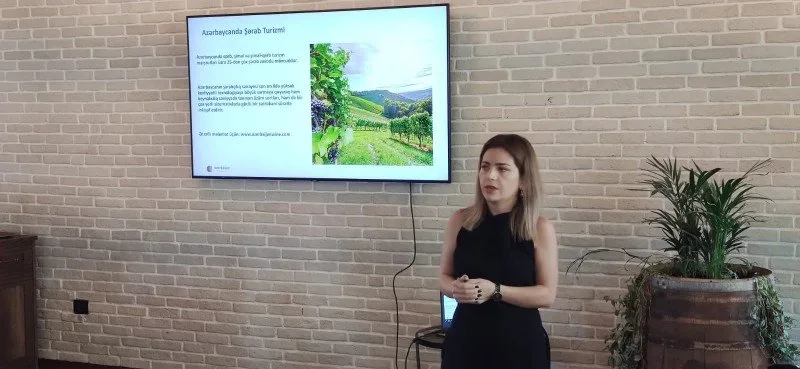 Dövlət Turizm Agentliyi “İter Vitis Qafqaz” şərab marşrutunu təqdim edib