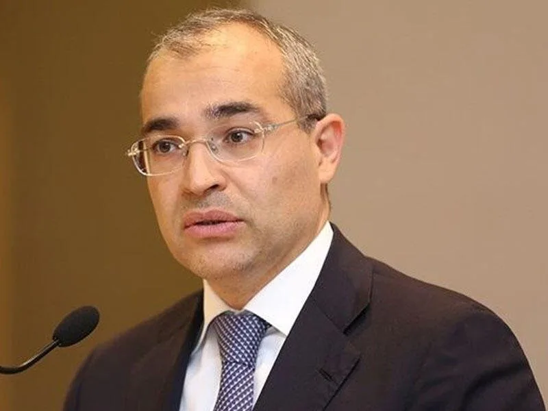 Mikayıl Cabbarovdan güzəştli kreditlərlə bağlı AÇIQLAMA