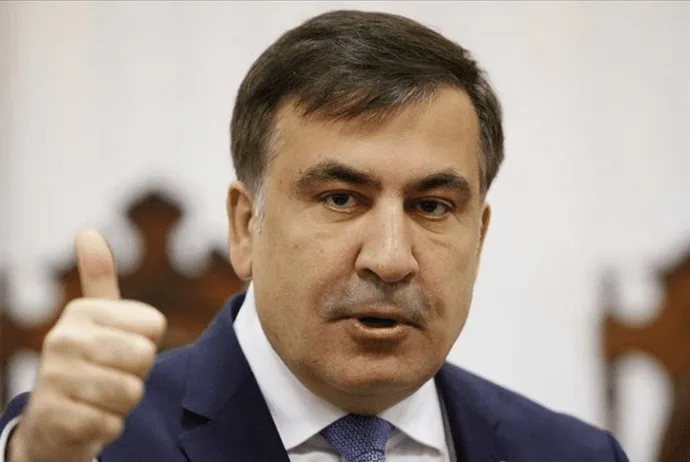 Saakaşvili Gürcüstana qayıtdı