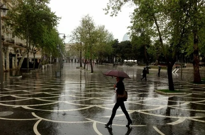Havanın temperaturu ötən illə müqayisədə 3,3 dərəcə aşağıdır - Umayra Tağıyeva