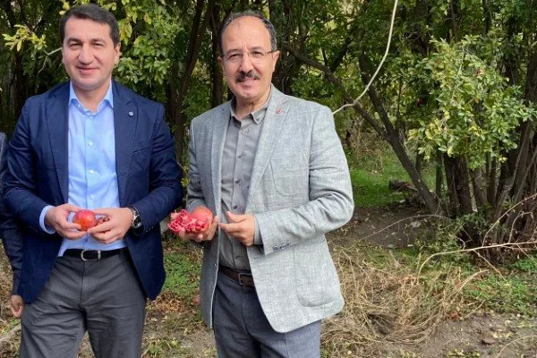 Hikmət Hacıyev səfirlə nar yığdı