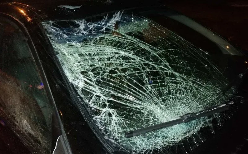 Bu il Azərbaycanda yol qəzalarında həlak olanların sayı AÇIQLANDI