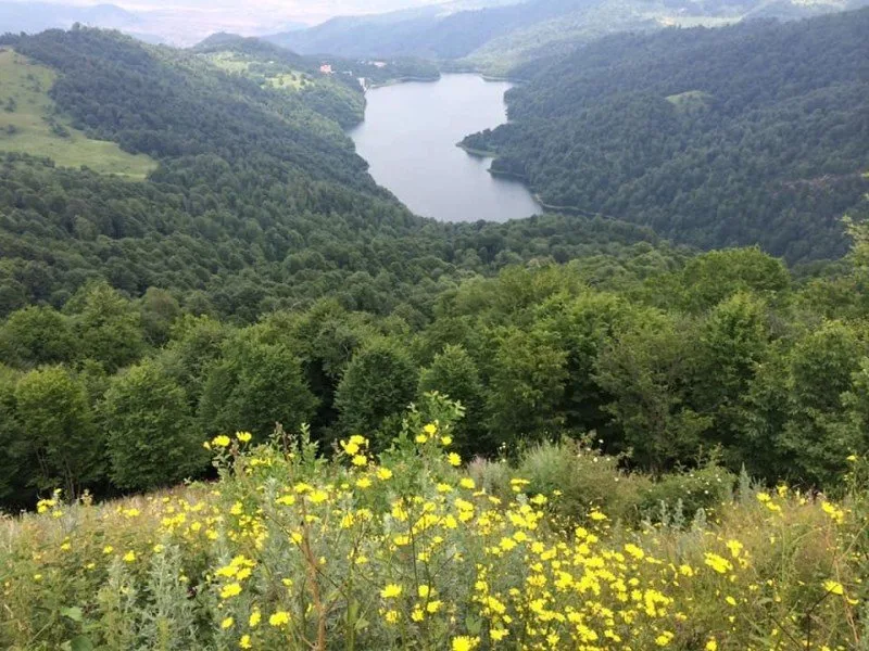 Azad olunmuş ərazilərdə yaradılacaq milli parkların yerləri müəyyənləşib