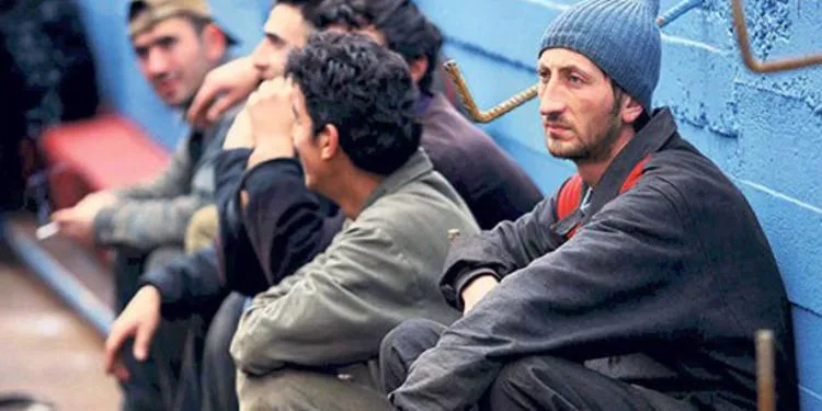 Pay torpağı olan işsizlər: Məşğulluqda kənd təsərrüfatının payı azalıb?