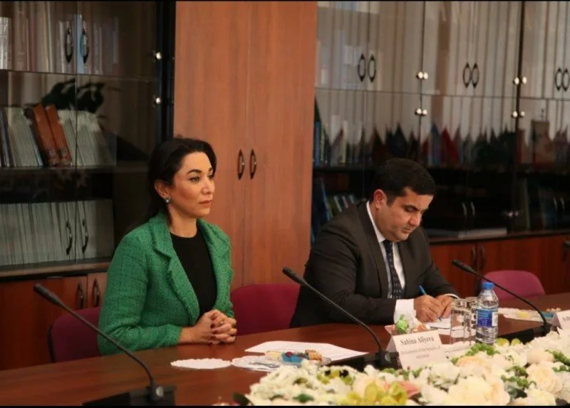 Ombudsman BMT-nin nümayəndəsi ilə görüşdü