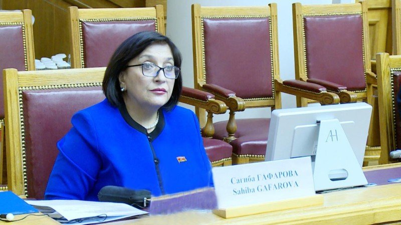 Sahibə Qafarova Rusiyada beynəlxalq konfransda çıxış edib