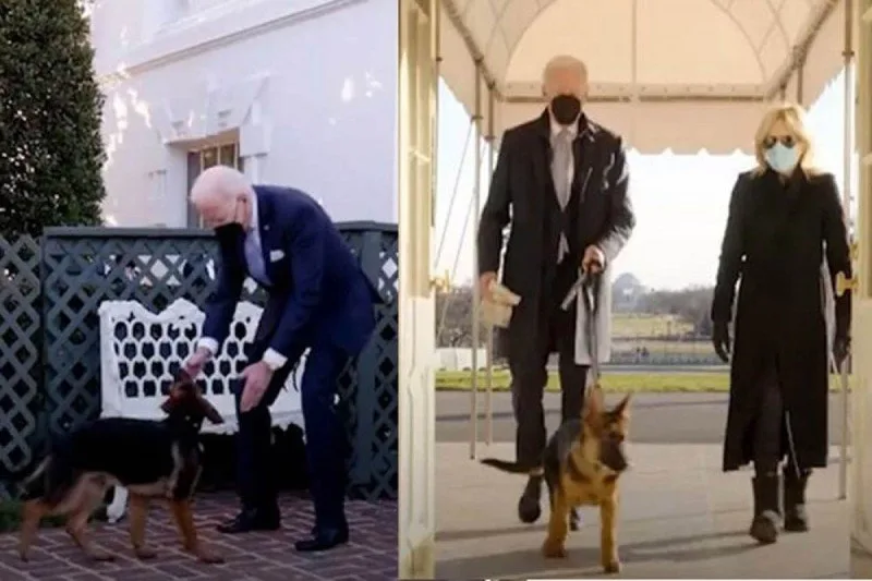 "Kommander" Ağ Evdə "peyda oldu"