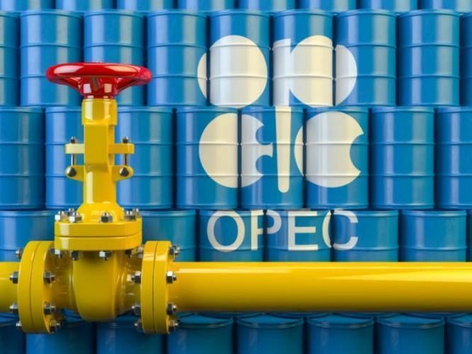 Bu gün OPEC-ə YENİ RƏHBƏR seçiləcək
