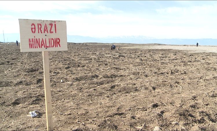 Azad edilən ərazilərdə daha 42 mina aşkarlandı