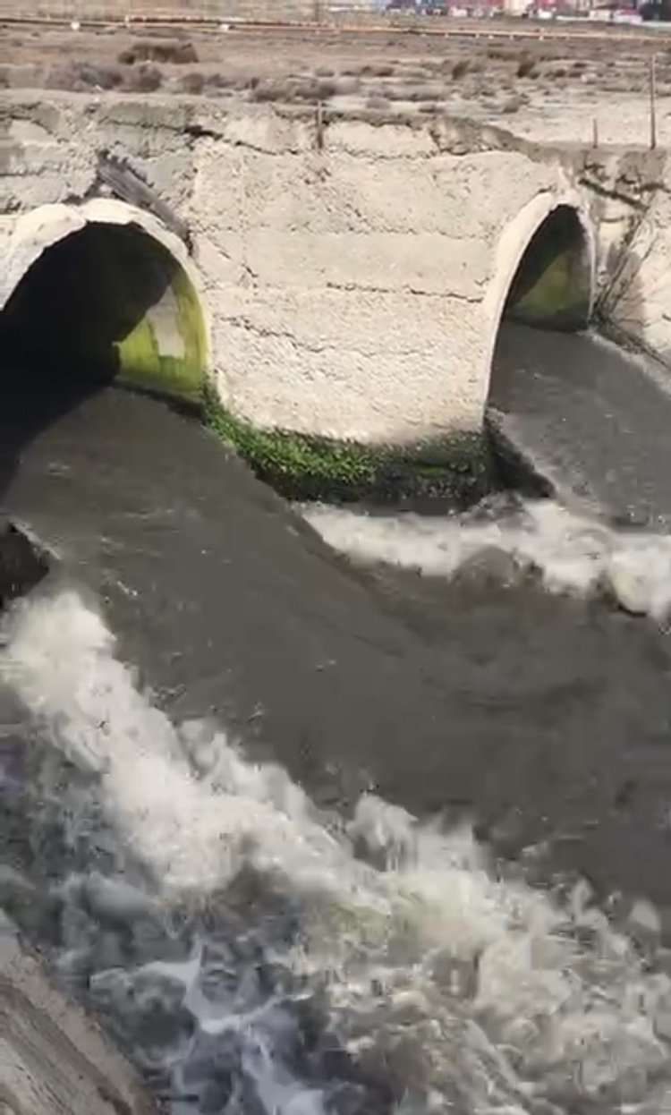 “Tullantı suları təmizlənmədən Xəzərə axıdılır” - FOTOLAR