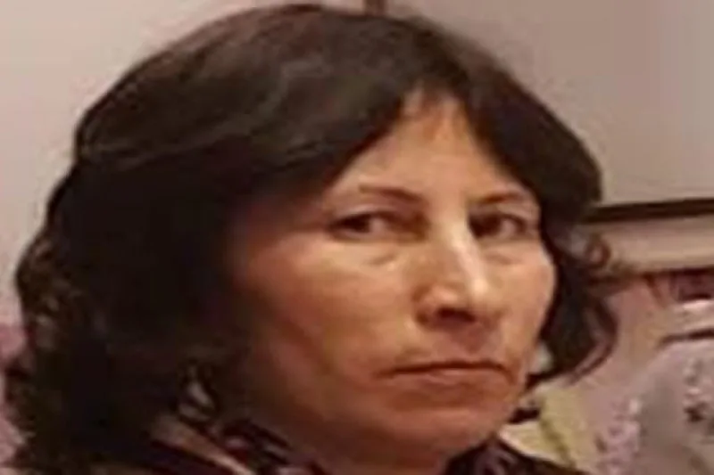 Üç ay əvvəl özünü kanala ataraq intihar edən qadının meyiti tapıldı