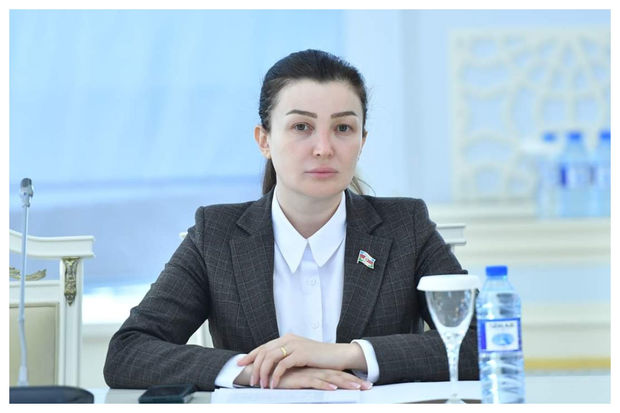 Azərbaycanda deputat bu vəzifəsindən İSTEFA VERDİ