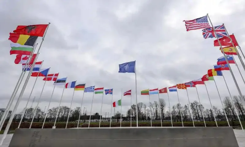 Finlandiya Prezidenti və Baş naziri ölkənin NATO-ya daxil olmasını dəstəklədi