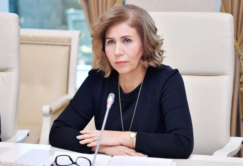 "Azərbaycanda sığınacaqların sayı kifayət qədər deyil" - Bahar Muradova