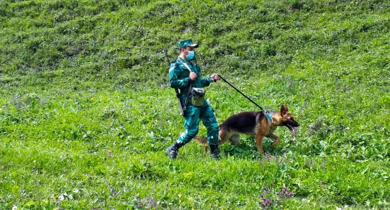 Sərhədi pozmağa cəhd edən şəxslər SAXLANILDI - FOTO