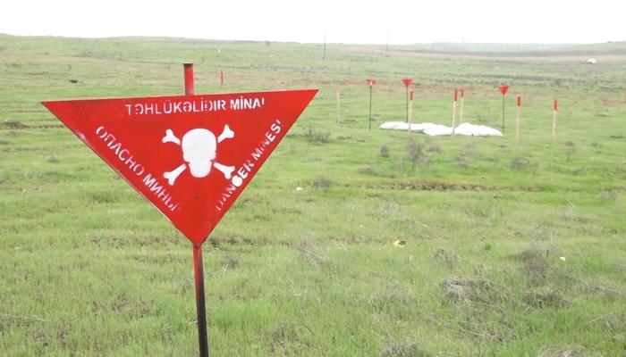 Azad edilmiş ərazilərdə daha 107 mina aşkarlandı