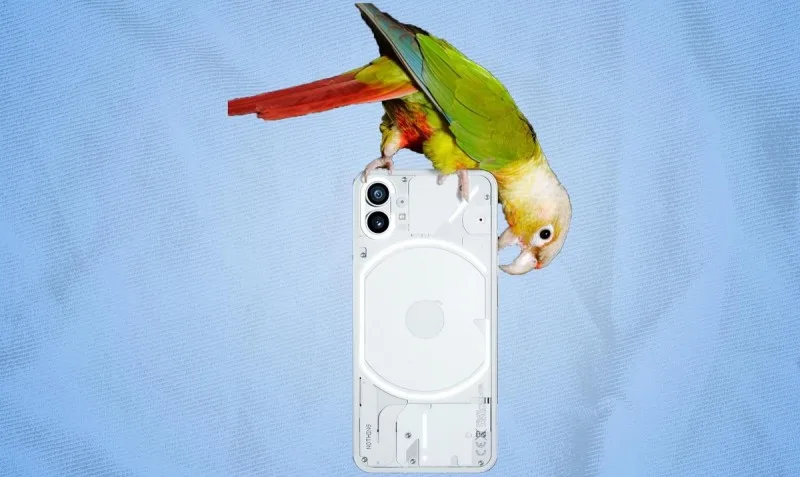 Nothing Phone (1)-in bəzi texniki özəllikləri Geekbench vasitəsilə təsdiqlənib