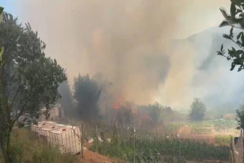 İstanbulda meşədə yanğın söndürülüb - YENİLƏNİB