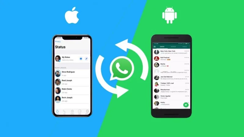 Whatsapp-da daha bir funksiya istifadəyə verildi