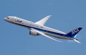 “787 Dreamliner”in satışı bərpa edilir