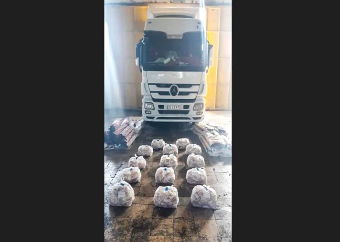 Gömrükçülər 79 kq-dan artıq psixotrop maddə aşkarlandı
