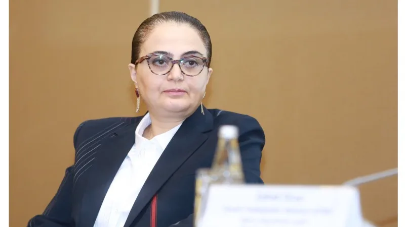 "Analitik mərkəzlərin 25 faizi fəaliyyətini dayandıracaq” - Səadət Yusifova