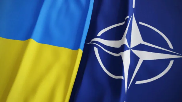 Ukraynanın NATO-ya üzvlüyünü 11 ölkə dəstəklədi