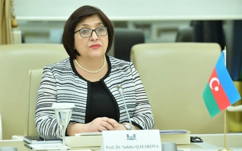 Sahibə Qafarova: "Ermənistan danışıqlarda destruktiv mövqe nümayiş etdirir"
