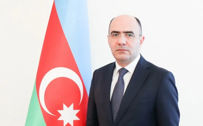 "Əczaçılıq sahəsində ciddi problemlər var" - Rasim İsmayılov