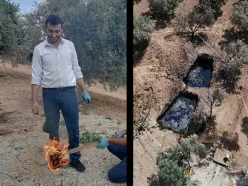 Zeytun bağından neft çıxdı: 50 milyon dollardan İMTİNA ETDİ - VİDEO