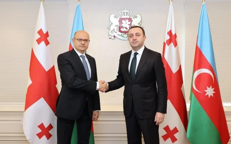 Pərviz Şahbazov İrakli Qaribaşvili ilə görüşdü