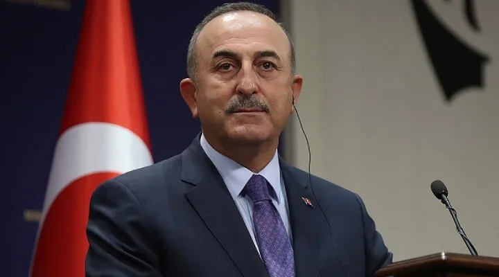 Çavuşoğlu Strasburqa səfər edib