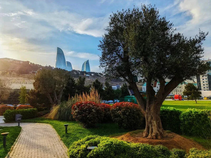 Hava yağmursuz olacaq
