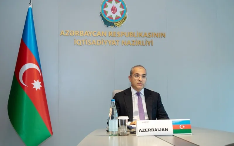 "Sahibkarlara 66,6 milyon manat faiz subsidiyası verilib" - Nazir